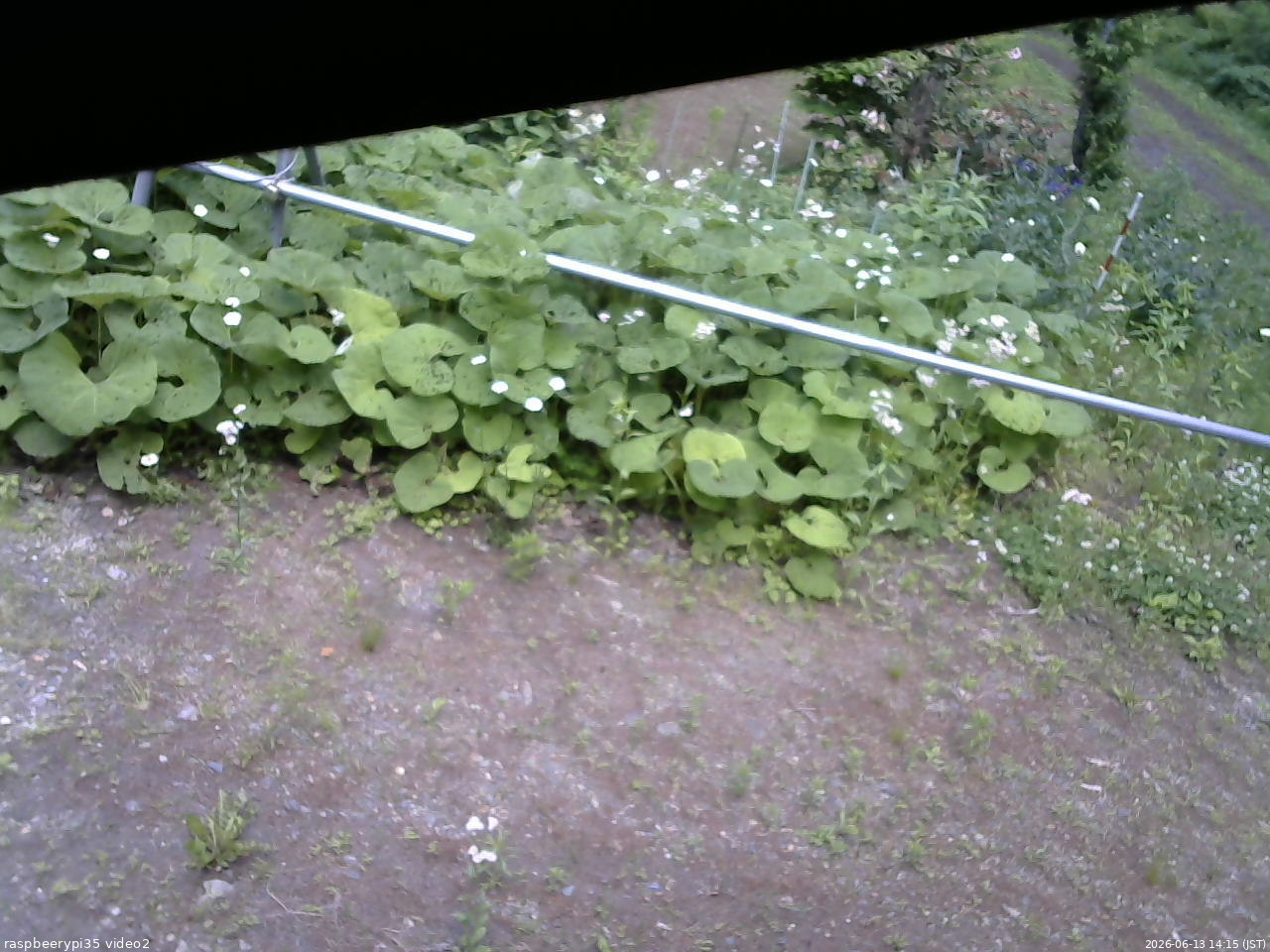 長野県菅平高原 ゆたか山荘 駐車場 2026/06/13 14:15