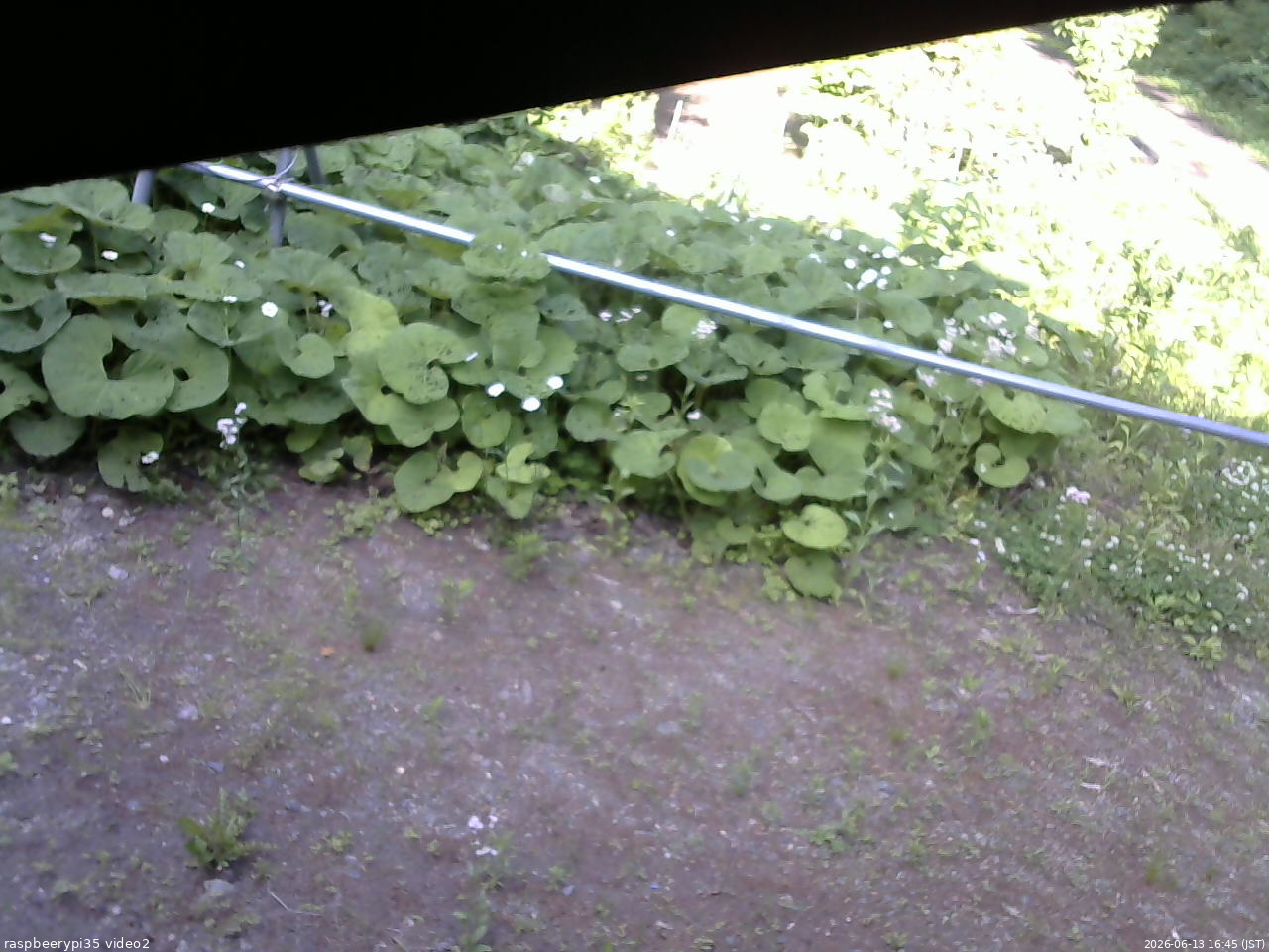 長野県菅平高原 ゆたか山荘 駐車場 2026/06/13 16:45