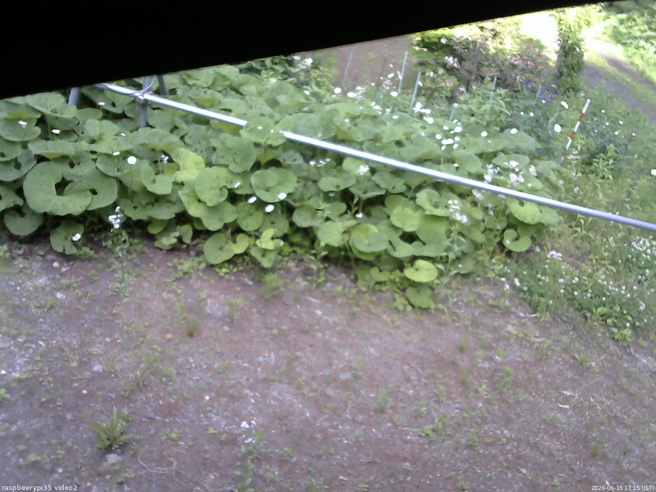 長野県菅平高原 ゆたか山荘 駐車場 2026/06/13 17:15