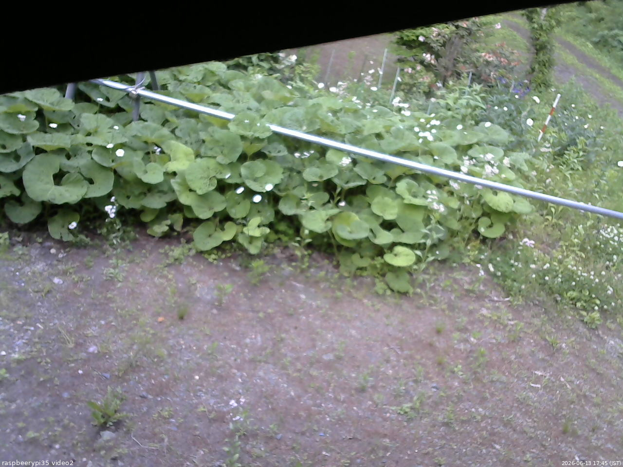 長野県菅平高原 ゆたか山荘 駐車場 2026/06/13 17:45