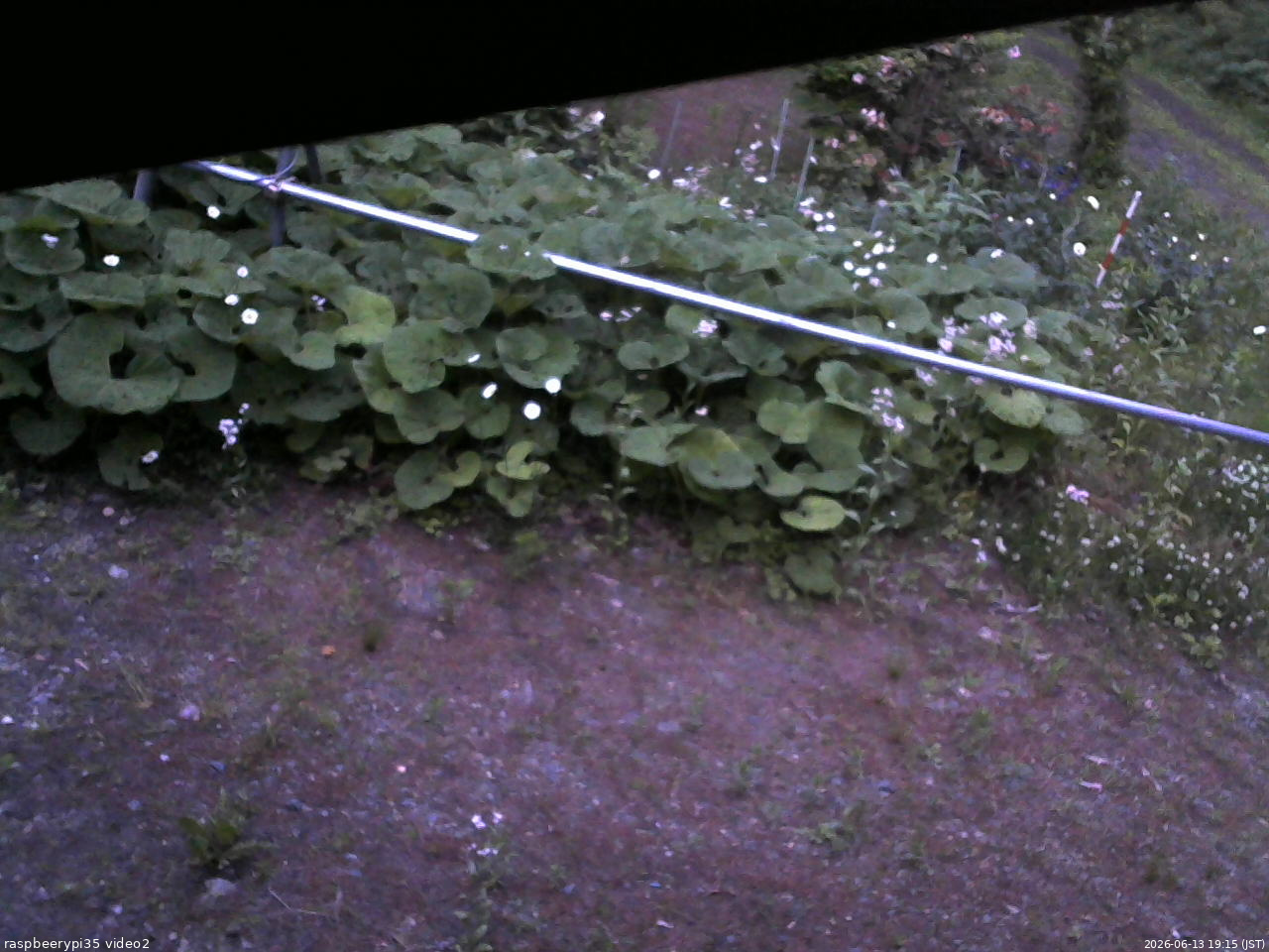 長野県菅平高原 ゆたか山荘 駐車場 2026/06/13 19:15