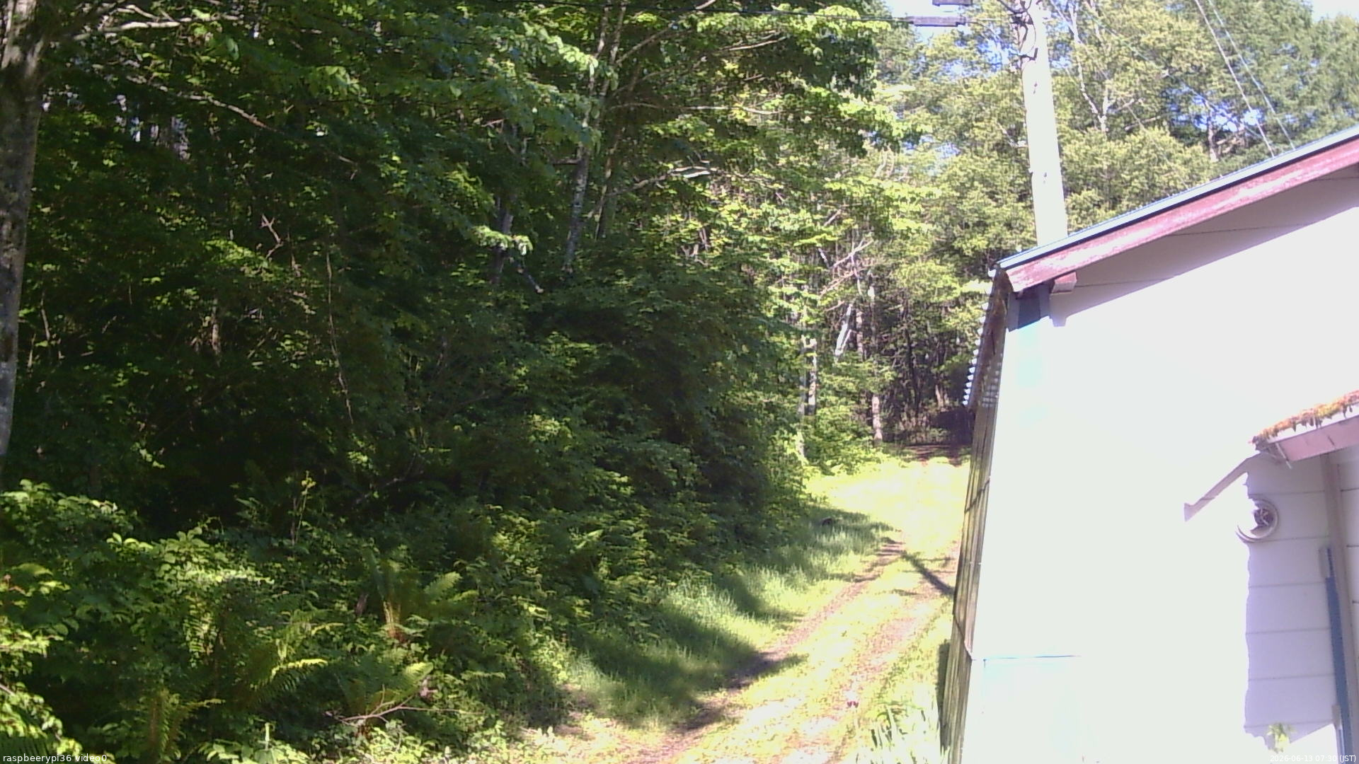 長野県菅平高原 ゆたか山荘 ゆたか山荘 2026/06/13 07:30