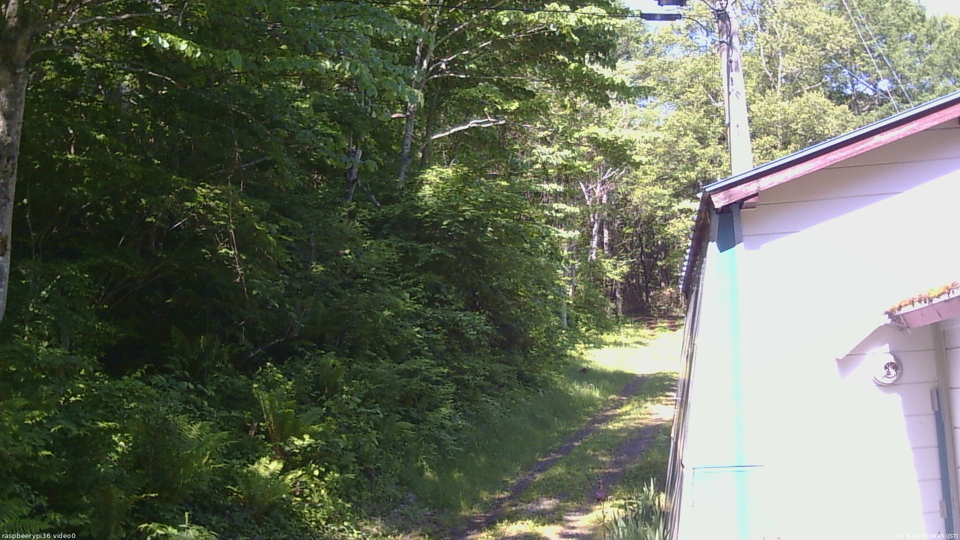 長野県菅平高原 ゆたか山荘 ゆたか山荘 2026/06/13 08:45