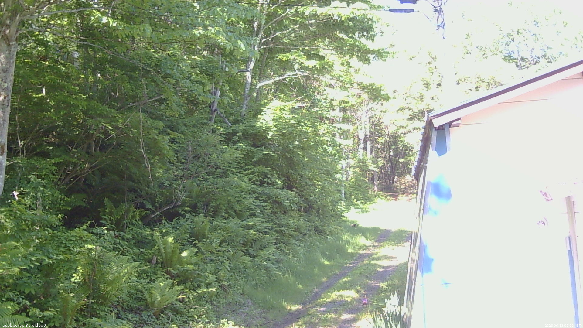 長野県菅平高原 ゆたか山荘 ゆたか山荘 2026/06/13 09:00