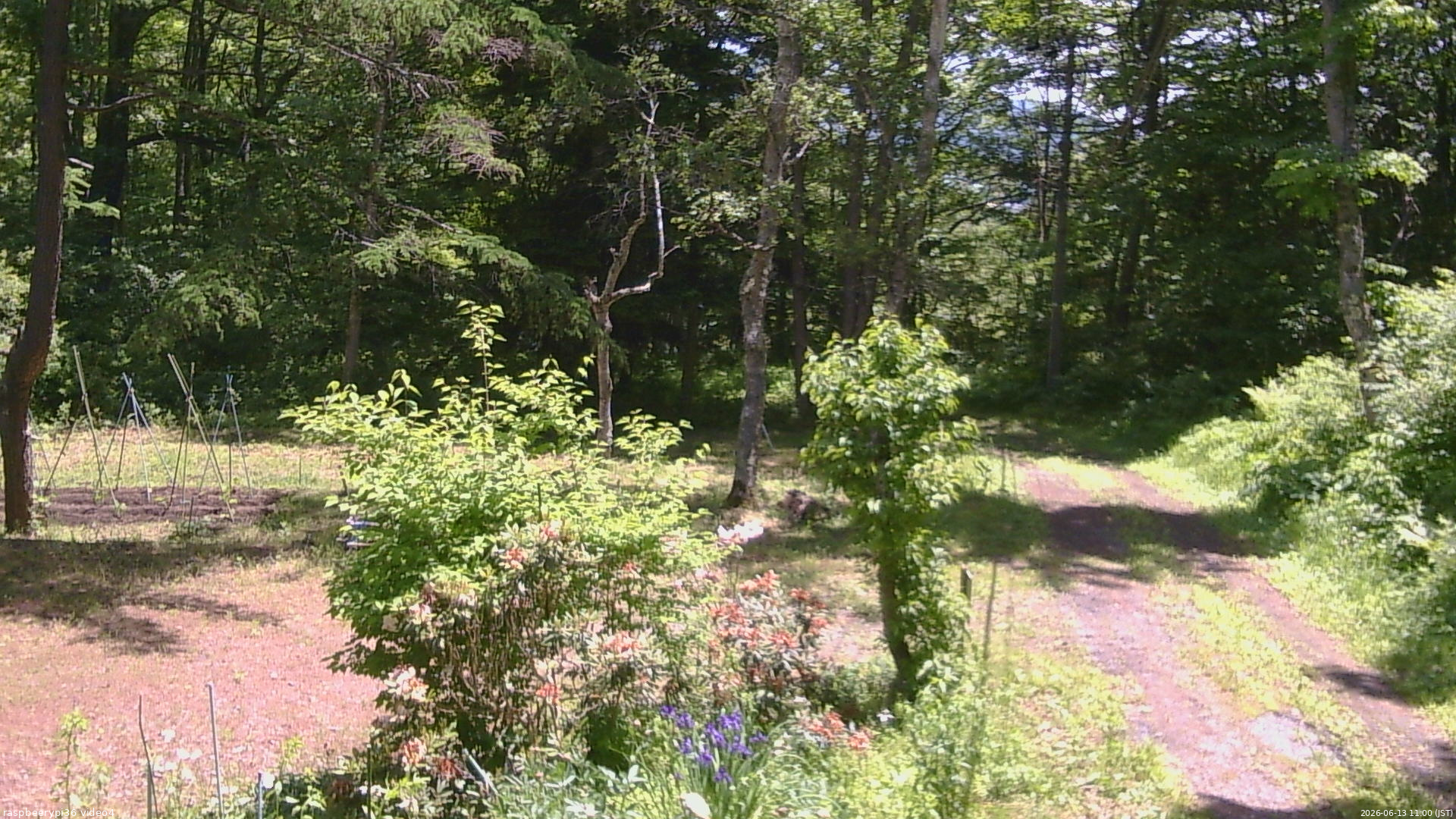 長野県菅平高原 ゆたか山荘 坂上 2026/06/13 11:00