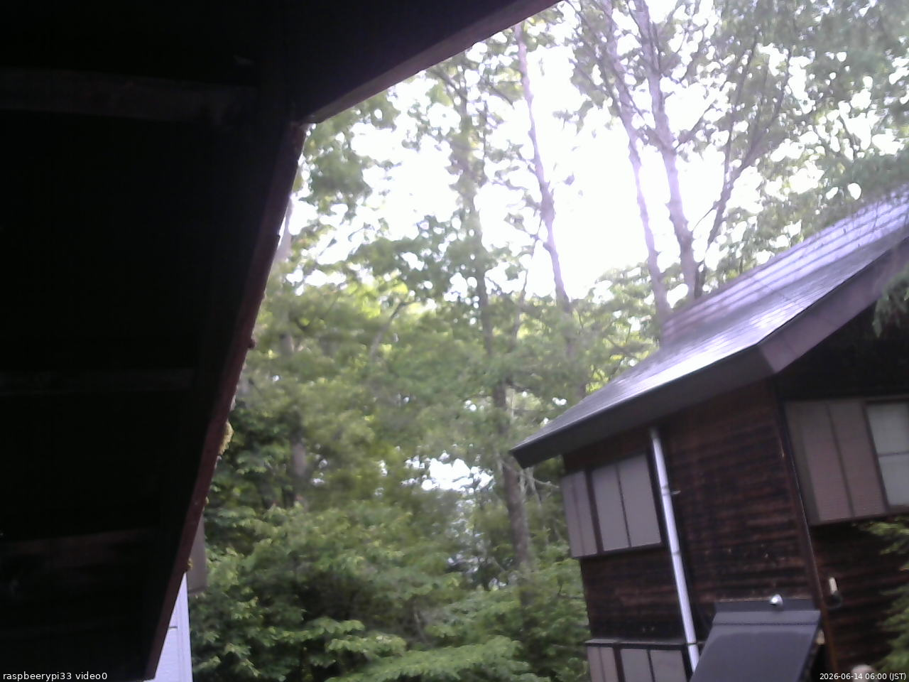 長野県菅平高原 ゆたか山荘 北側 2026/06/14 06:00
