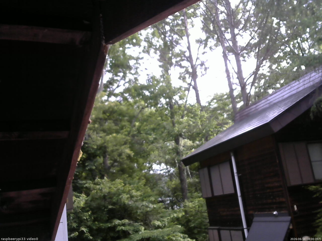 長野県菅平高原 ゆたか山荘 北側 2026/06/14 08:00