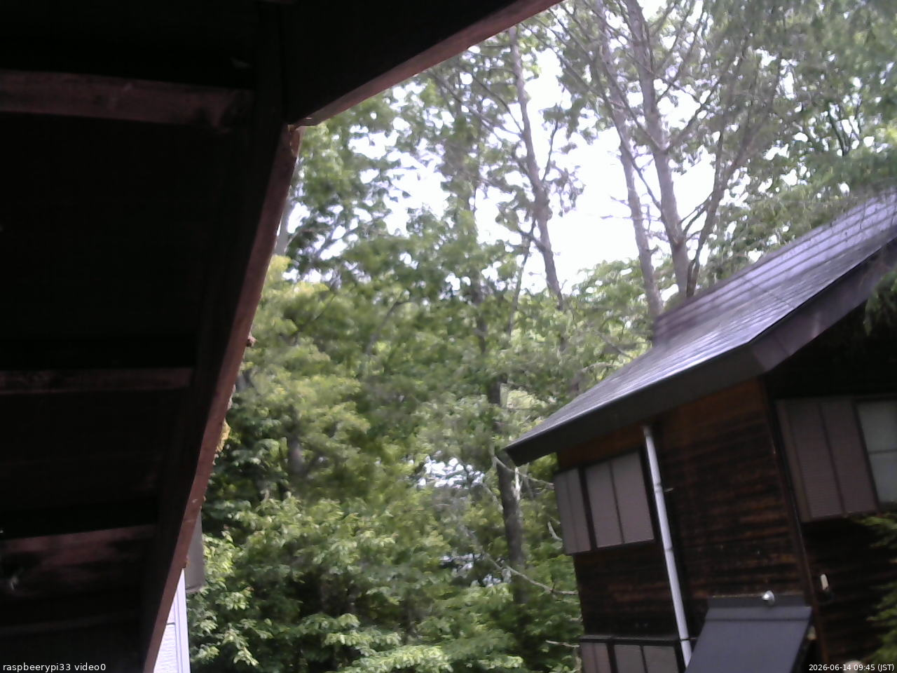 長野県菅平高原 ゆたか山荘 北側 2026/06/14 09:45