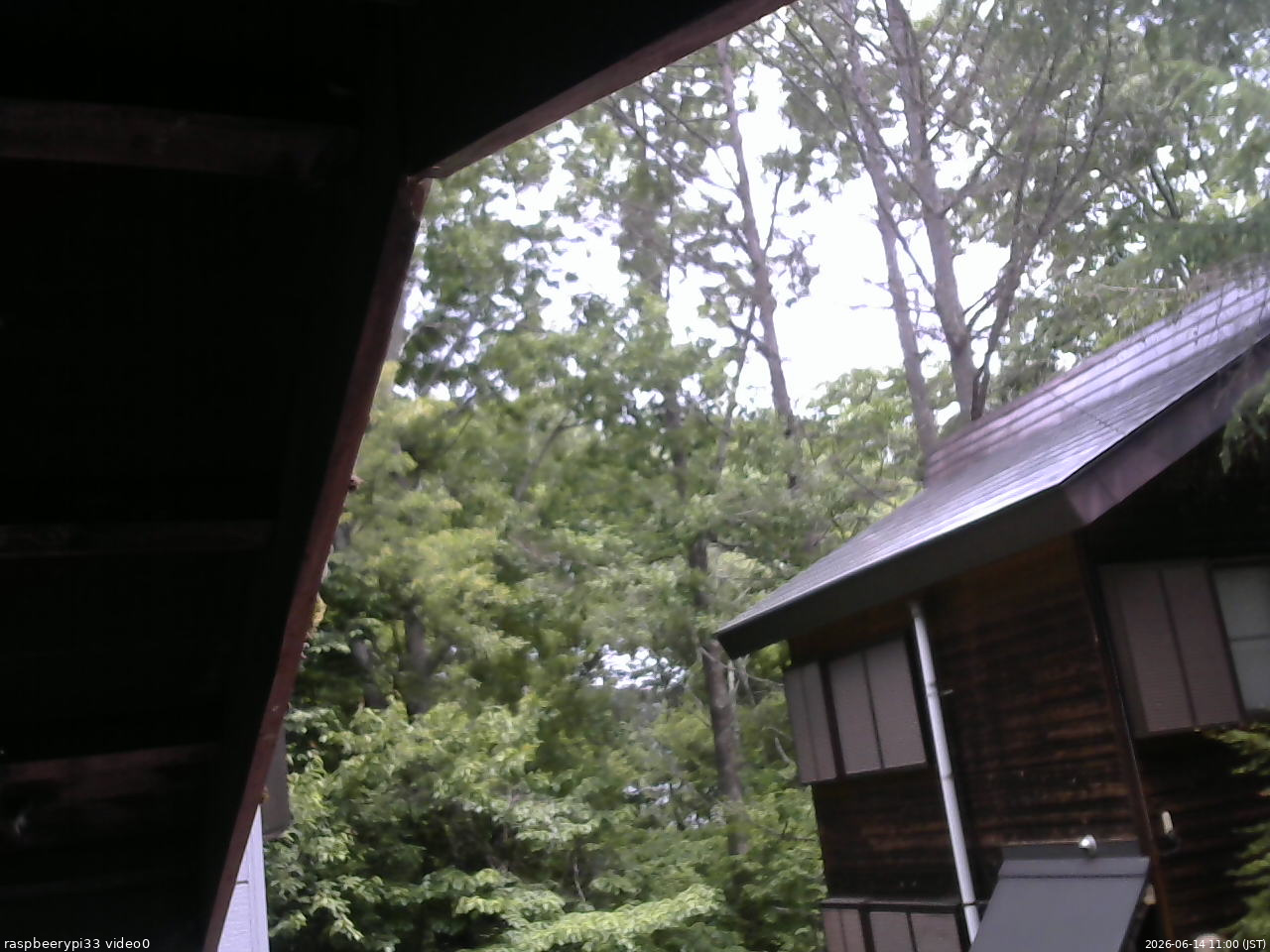 長野県菅平高原 ゆたか山荘 北側 2026/06/14 11:00