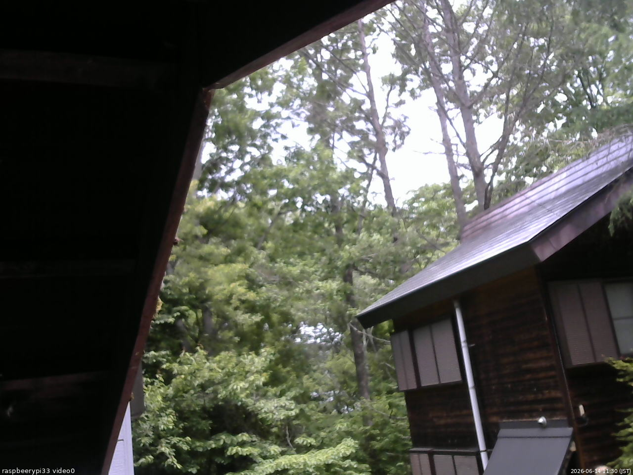 長野県菅平高原 ゆたか山荘 北側 2026/06/14 11:30