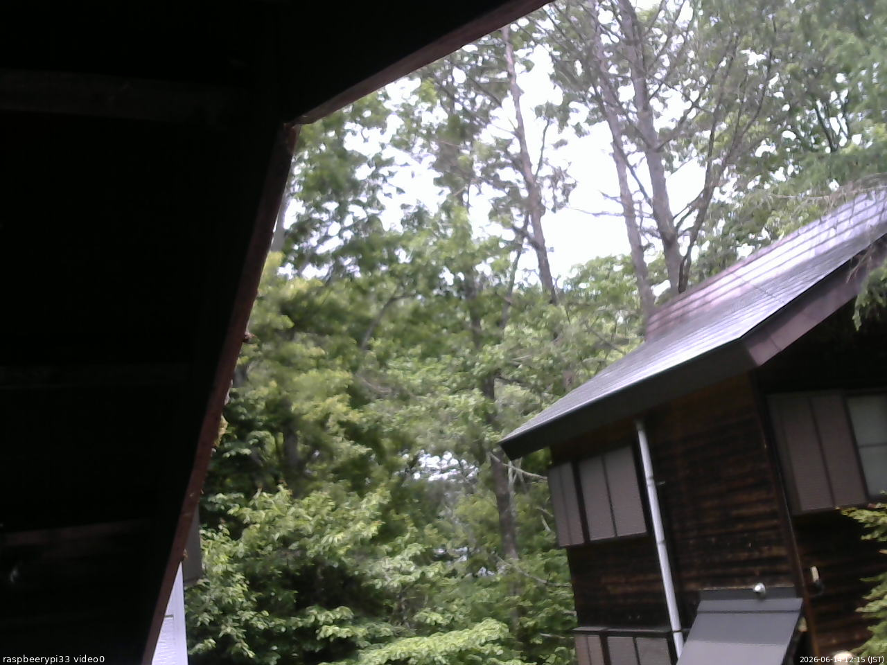 長野県菅平高原 ゆたか山荘 北側 2026/06/14 12:15