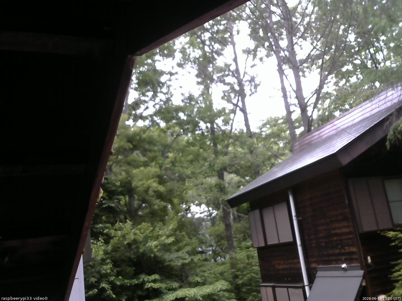 長野県菅平高原 ゆたか山荘 北側 2026/06/14 13:00