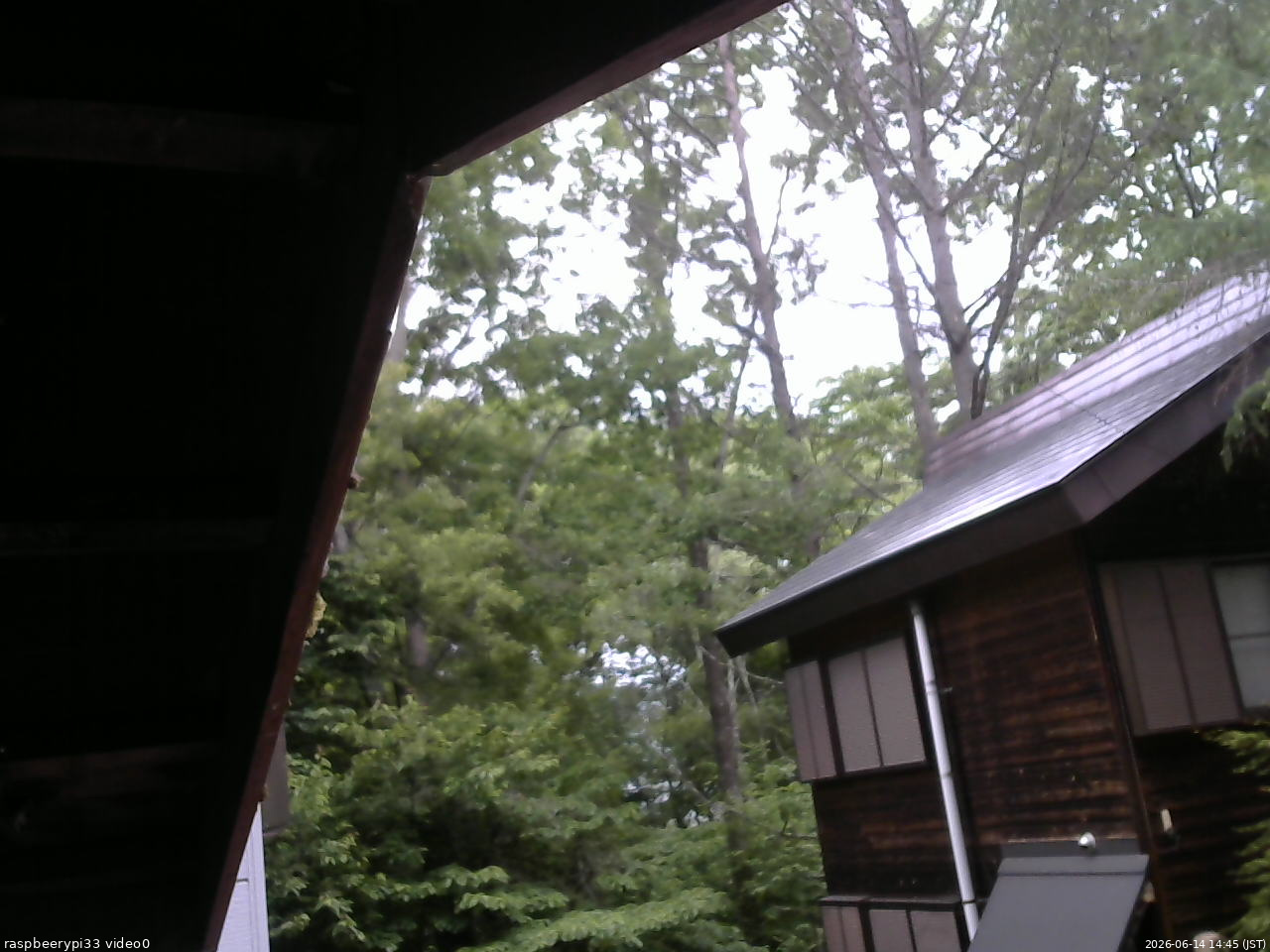 長野県菅平高原 ゆたか山荘 北側 2026/06/14 14:45