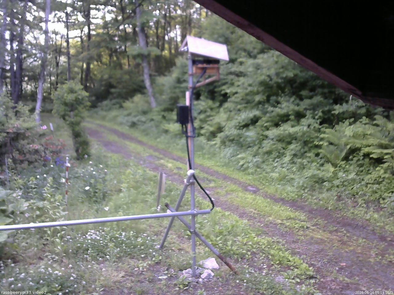 長野県菅平高原 ゆたか山荘 南側 2026/06/14 05:15