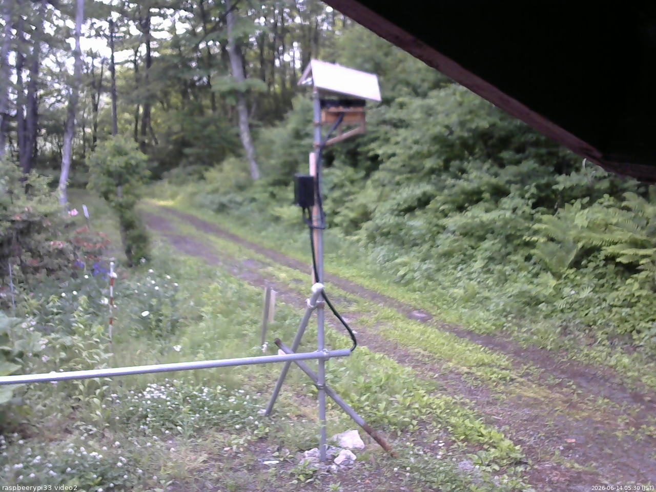 長野県菅平高原 ゆたか山荘 南側 2026/06/14 05:30