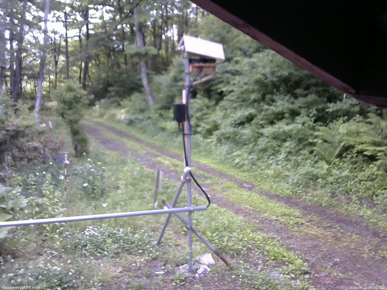 長野県菅平高原 ゆたか山荘 南側 2026/06/14 06:00