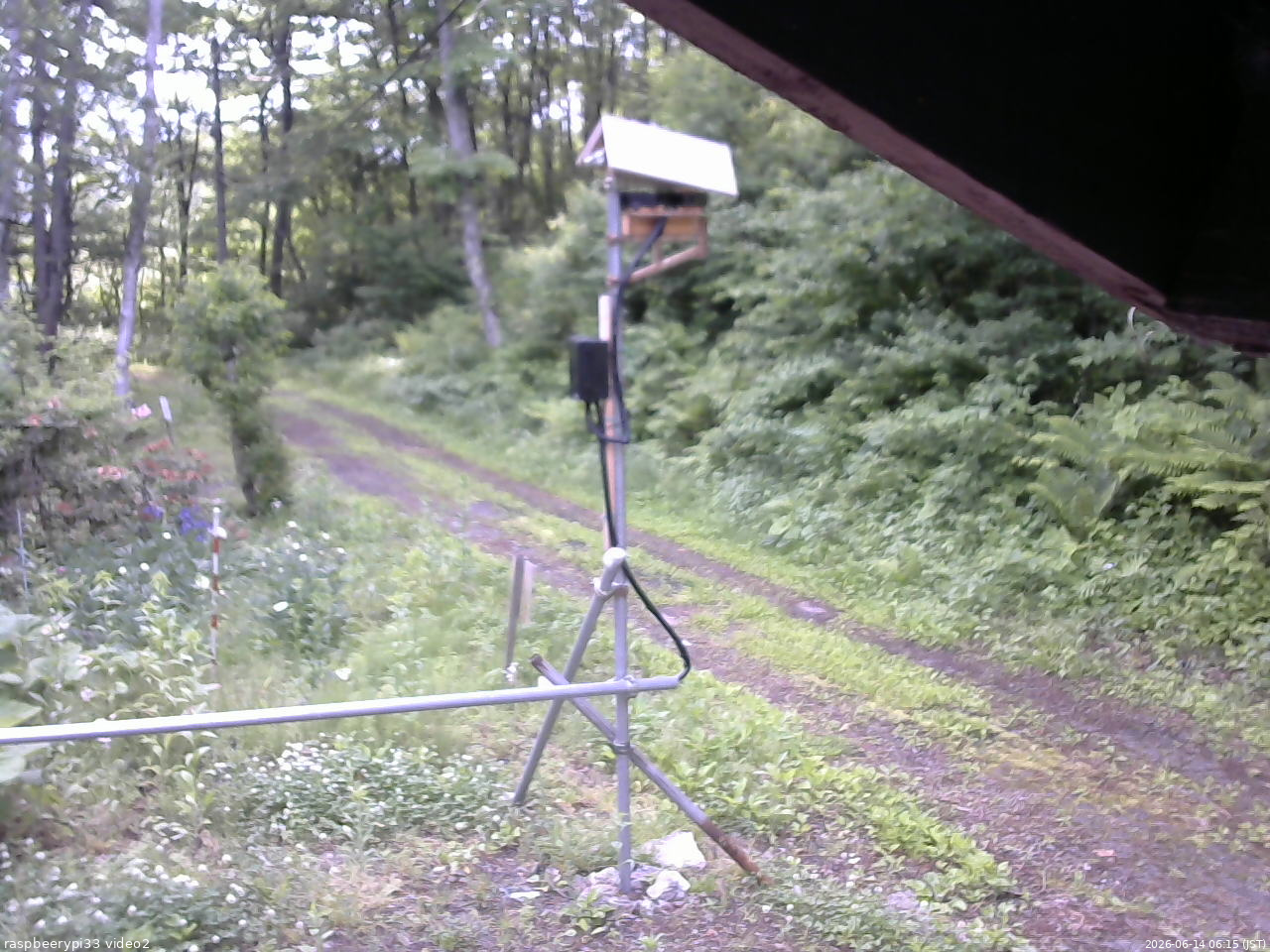 長野県菅平高原 ゆたか山荘 南側 2026/06/14 06:15