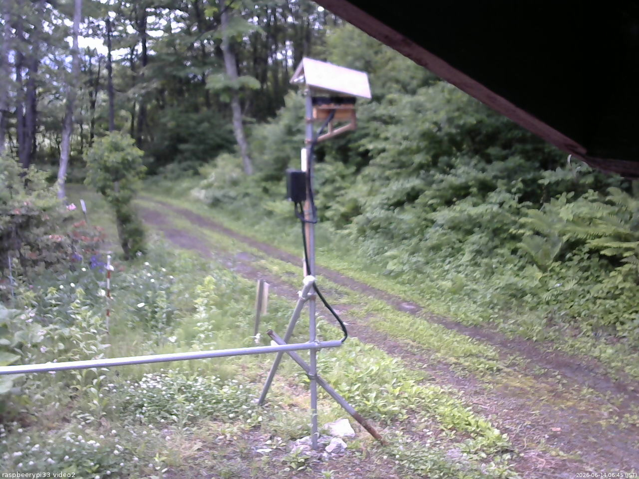 長野県菅平高原 ゆたか山荘 南側 2026/06/14 06:45