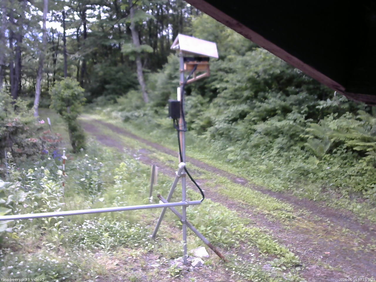 長野県菅平高原 ゆたか山荘 南側 2026/06/14 07:15