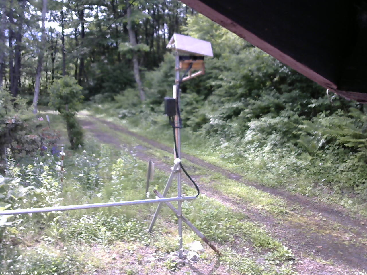 長野県菅平高原 ゆたか山荘 南側 2026/06/14 07:45