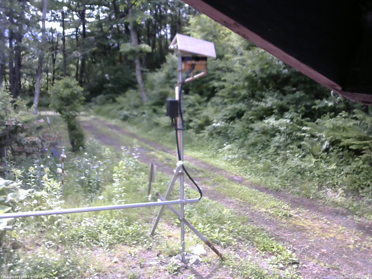 長野県菅平高原 ゆたか山荘 南側 2026/06/14 08:00