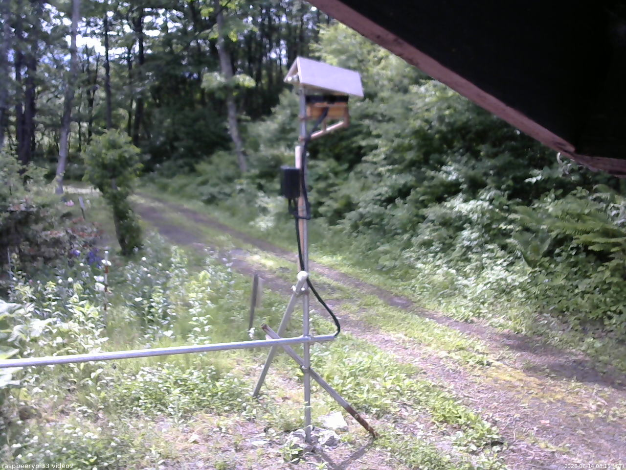 長野県菅平高原 ゆたか山荘 南側 2026/06/14 08:15