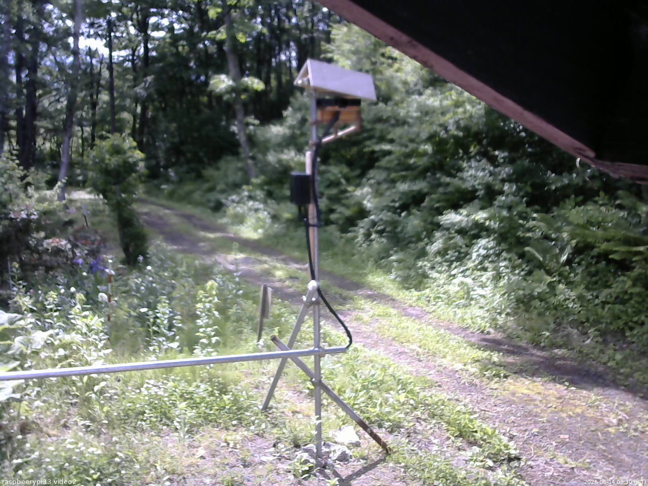 長野県菅平高原 ゆたか山荘 南側 2026/06/14 08:30