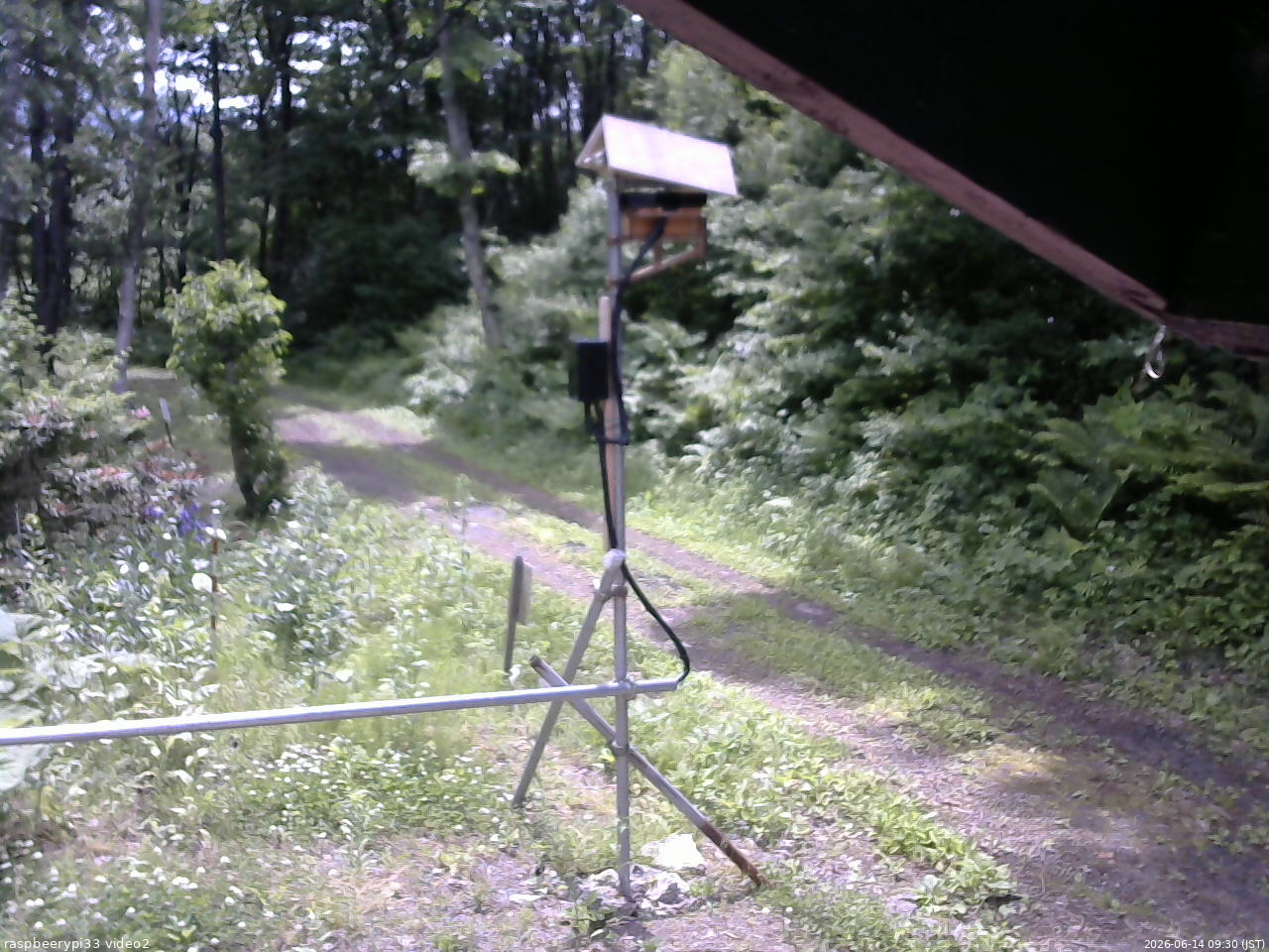 長野県菅平高原 ゆたか山荘 南側 2026/06/14 09:30