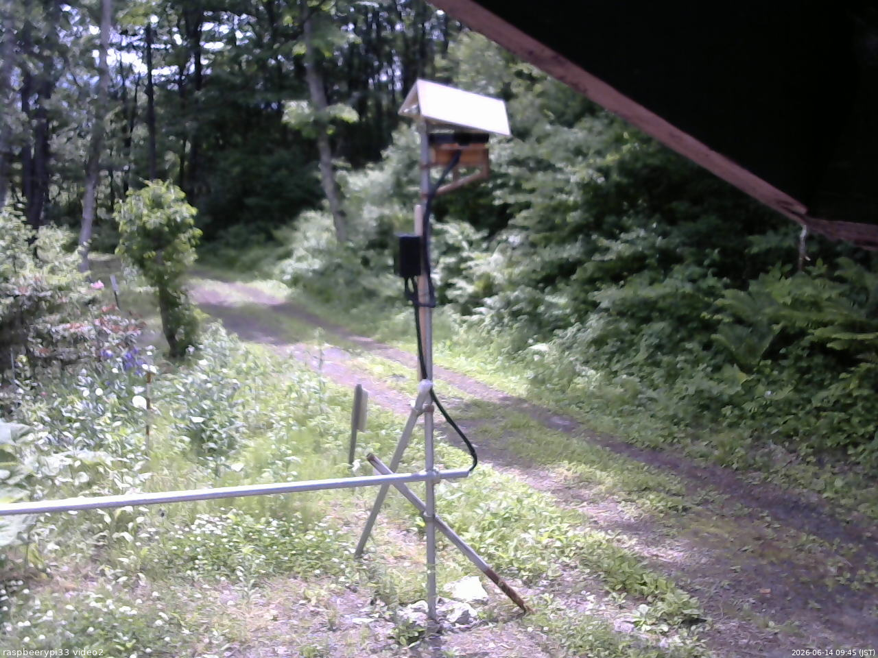 長野県菅平高原 ゆたか山荘 南側 2026/06/14 09:45