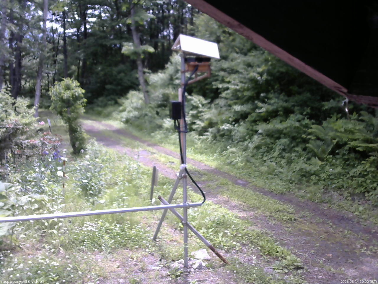 長野県菅平高原 ゆたか山荘 南側 2026/06/14 10:00