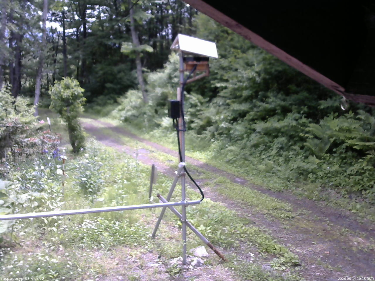 長野県菅平高原 ゆたか山荘 南側 2026/06/14 10:15