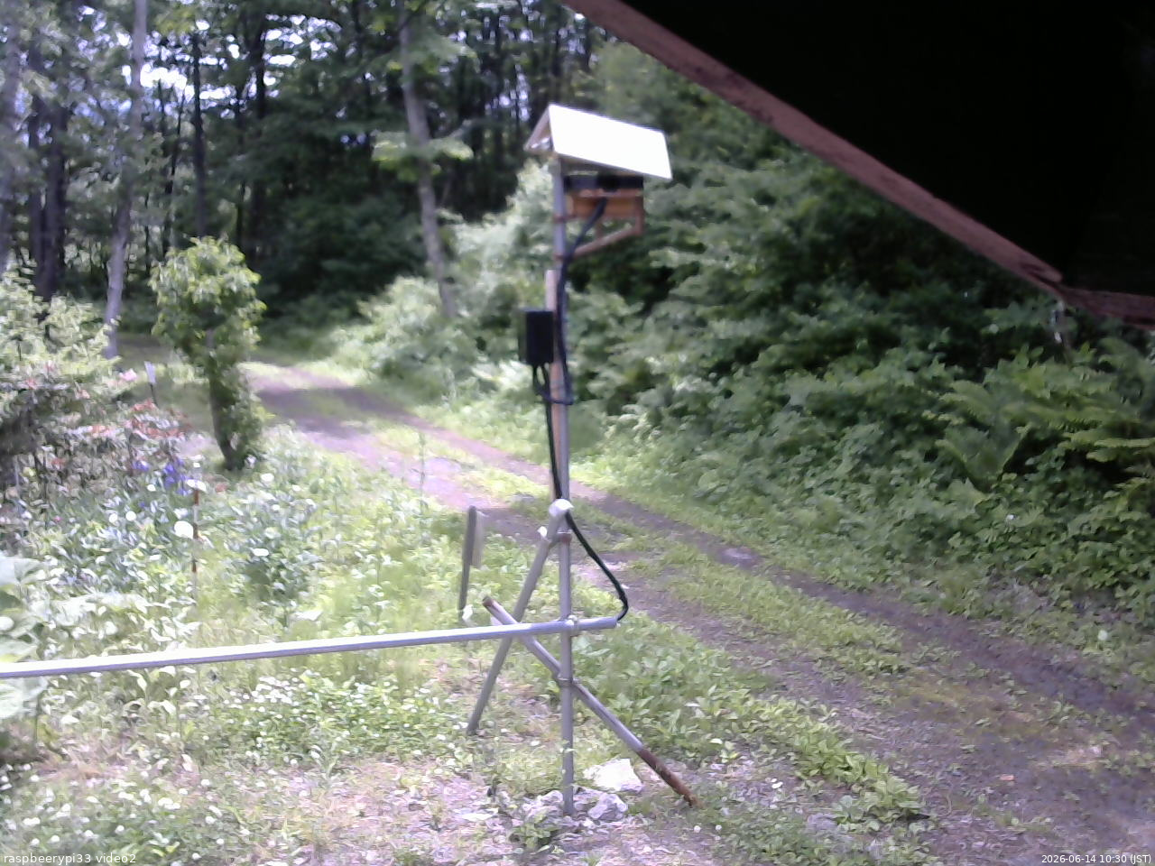 長野県菅平高原 ゆたか山荘 南側 2026/06/14 10:30