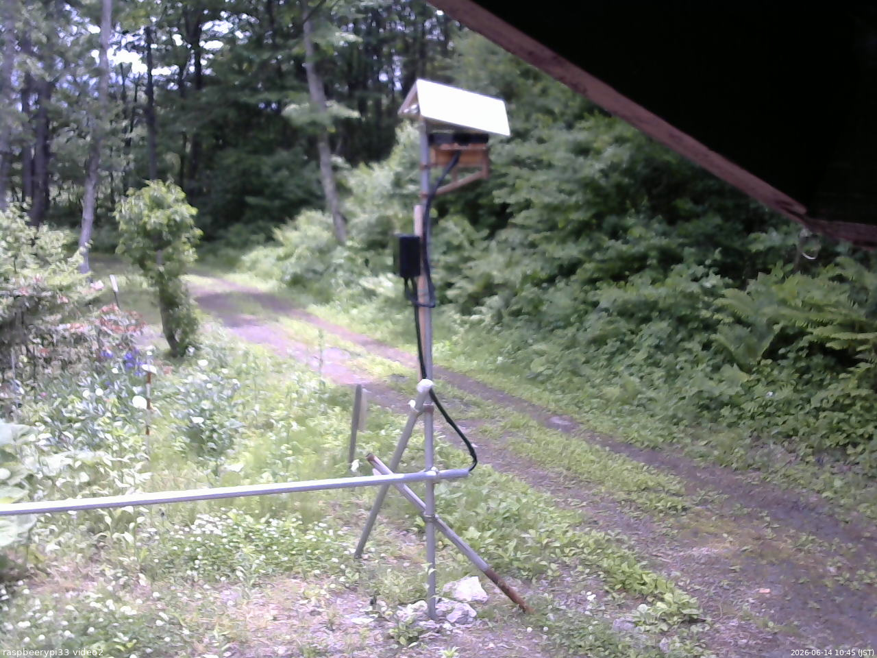 長野県菅平高原 ゆたか山荘 南側 2026/06/14 10:45