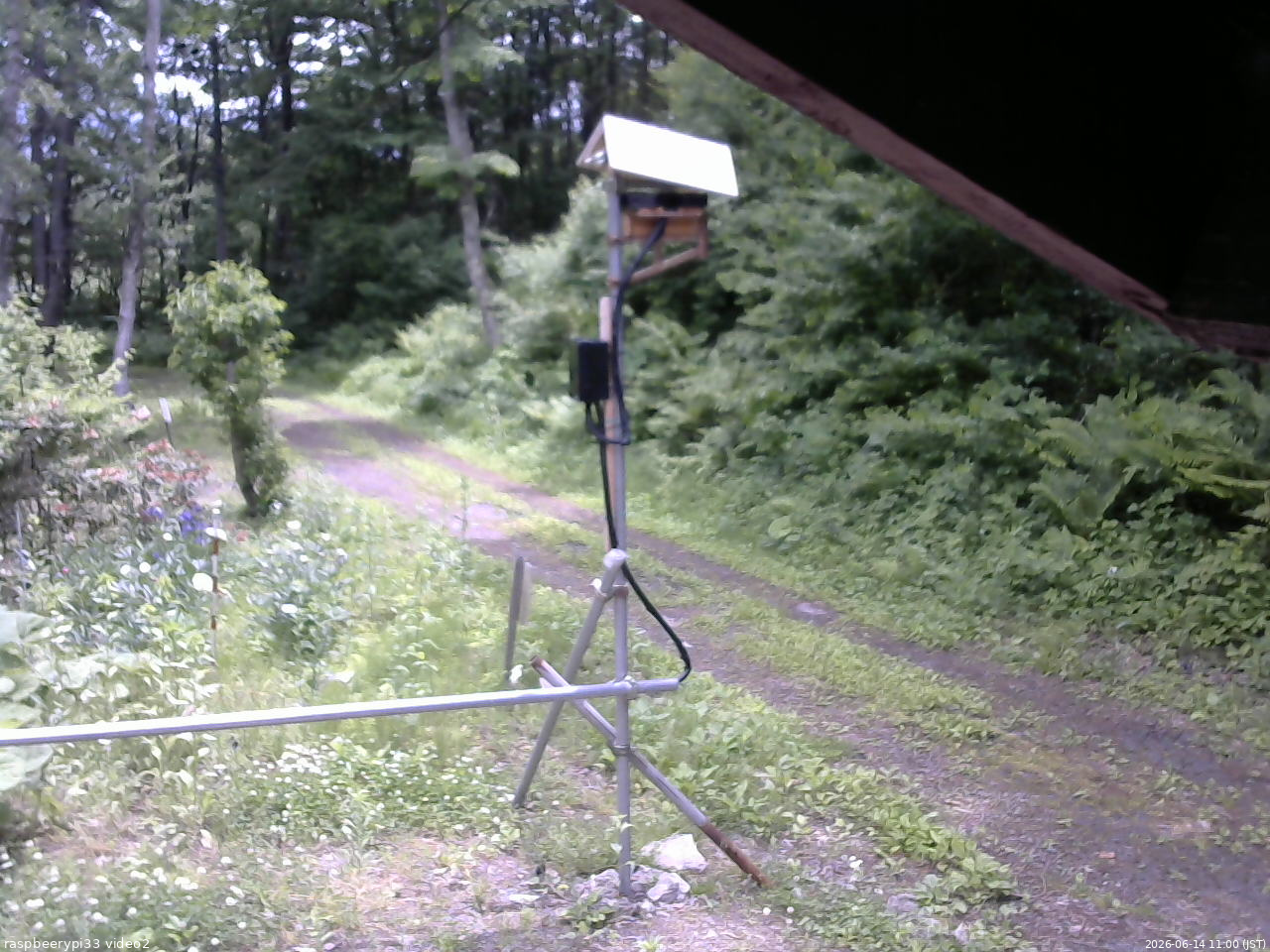 長野県菅平高原 ゆたか山荘 南側 2026/06/14 11:00