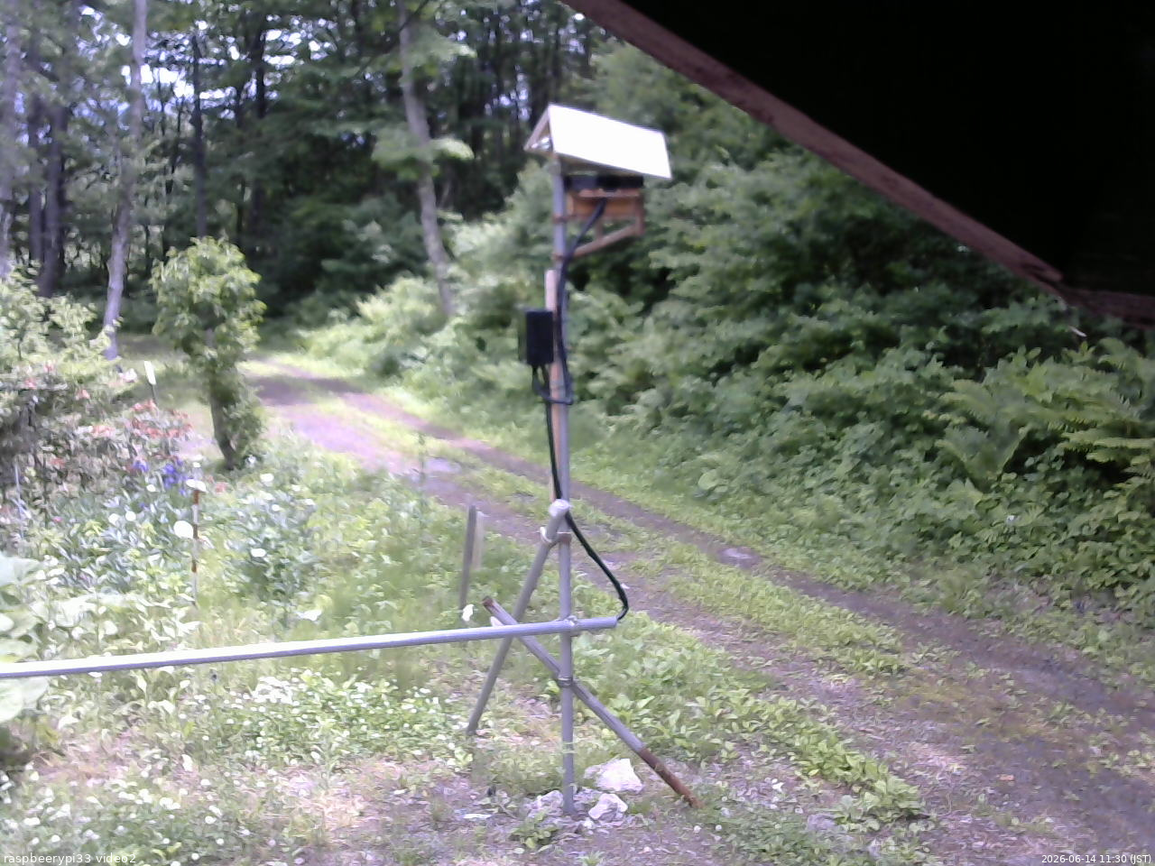 長野県菅平高原 ゆたか山荘 南側 2026/06/14 11:30