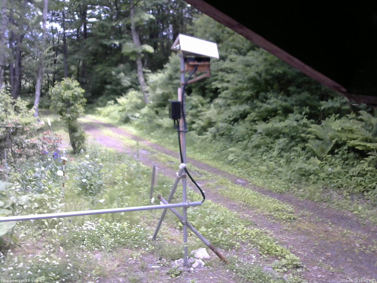 長野県菅平高原 ゆたか山荘 南側 2026/06/14 11:45