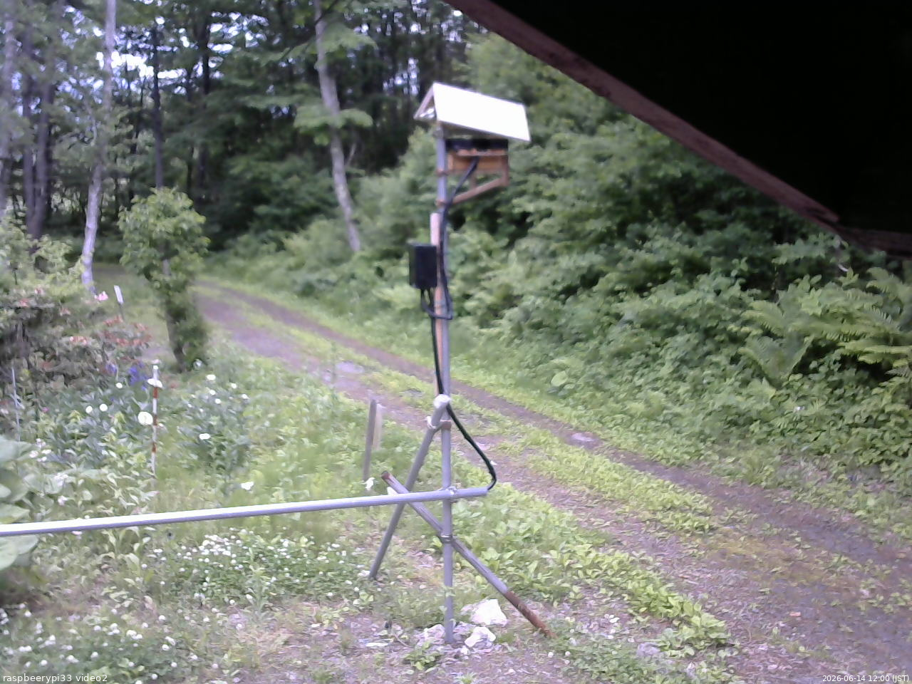 長野県菅平高原 ゆたか山荘 南側 2026/06/14 12:00