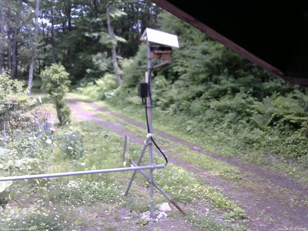 長野県菅平高原 ゆたか山荘 南側 2026/06/14 12:15