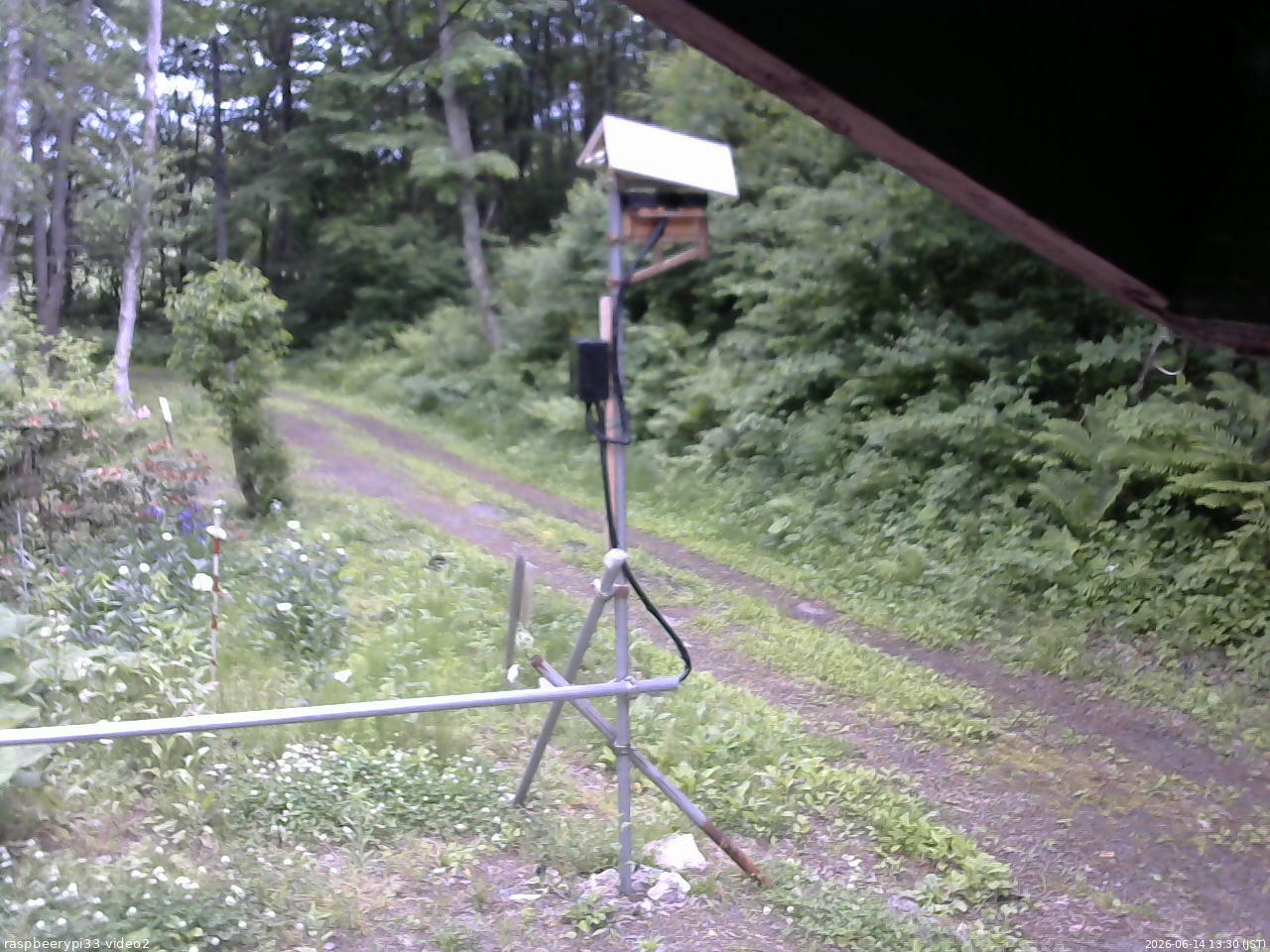 長野県菅平高原 ゆたか山荘 南側 2026/06/14 13:30