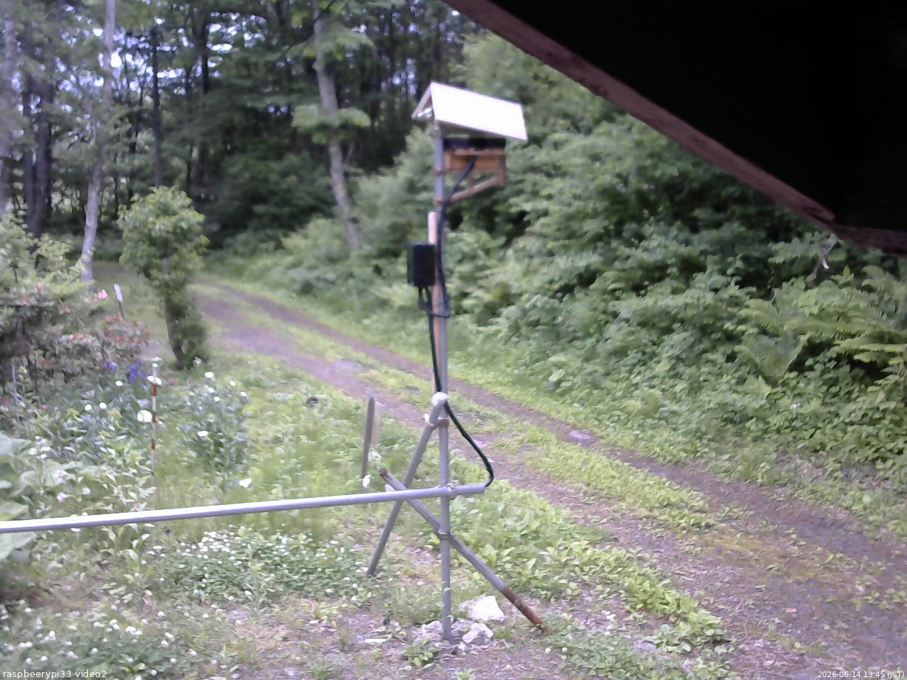長野県菅平高原 ゆたか山荘 南側 2026/06/14 13:45