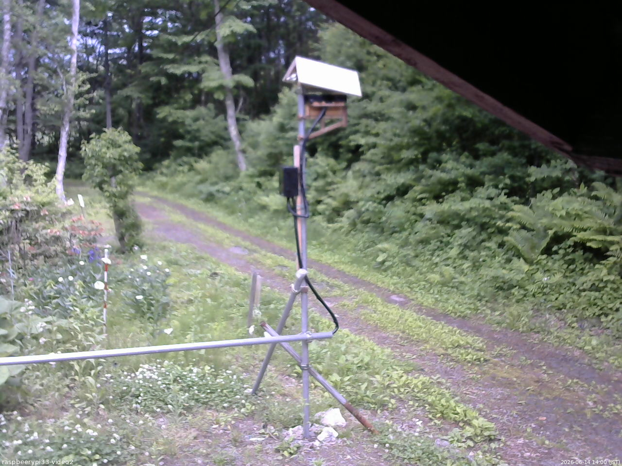 長野県菅平高原 ゆたか山荘 南側 2026/06/14 14:00