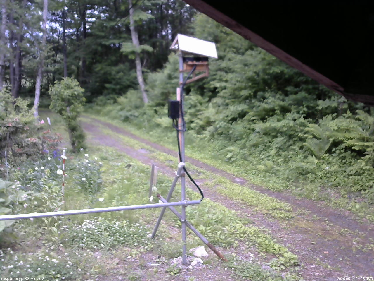 長野県菅平高原 ゆたか山荘 南側 2026/06/14 14:15