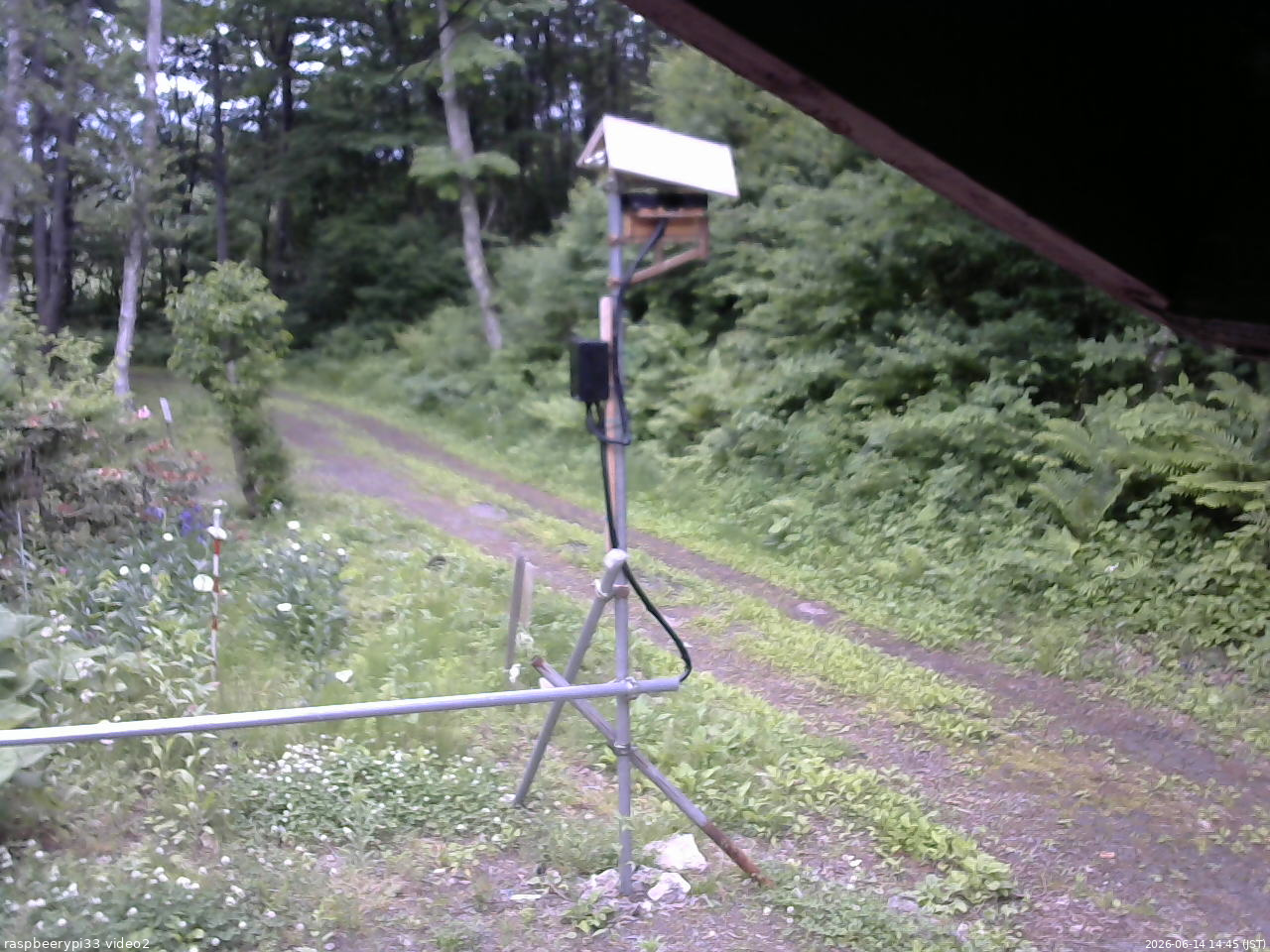 長野県菅平高原 ゆたか山荘 南側 2026/06/14 14:45