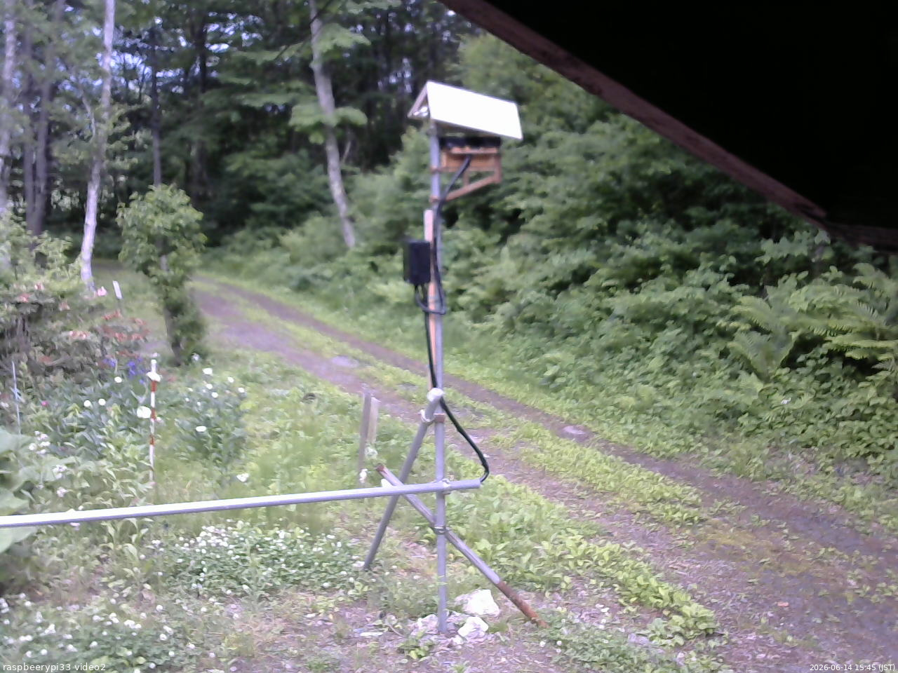 長野県菅平高原 ゆたか山荘 南側 2026/06/14 15:45