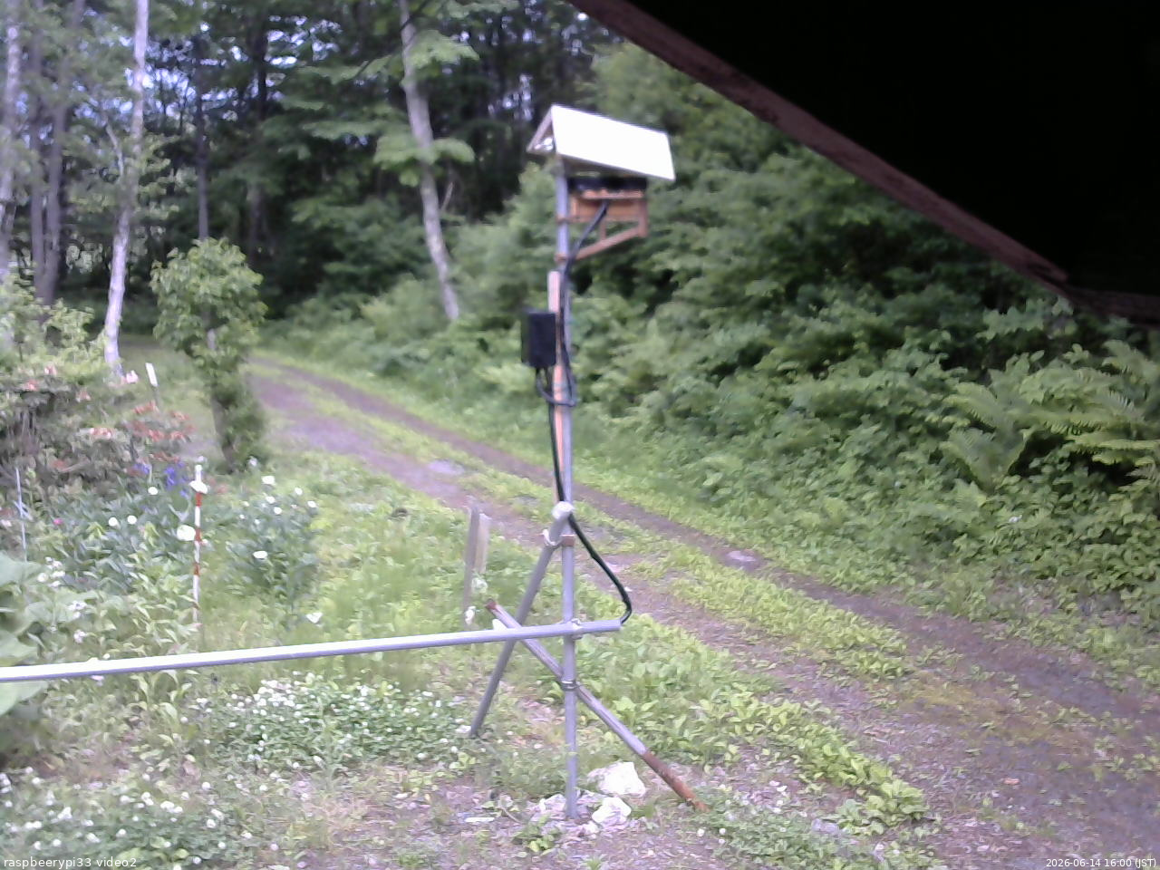 長野県菅平高原 ゆたか山荘 南側 2026/06/14 16:00