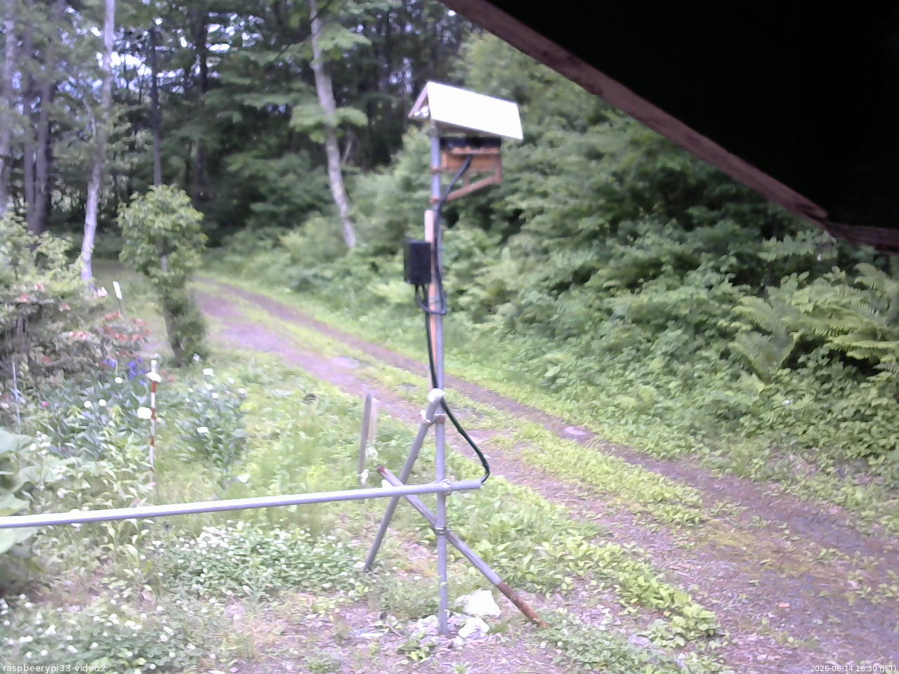 長野県菅平高原 ゆたか山荘 南側 2026/06/14 16:30