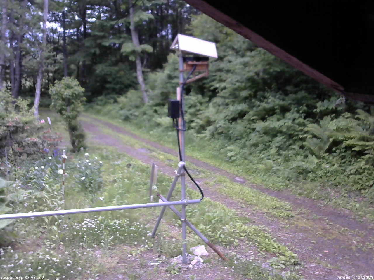 長野県菅平高原 ゆたか山荘 南側 2026/06/14 18:30