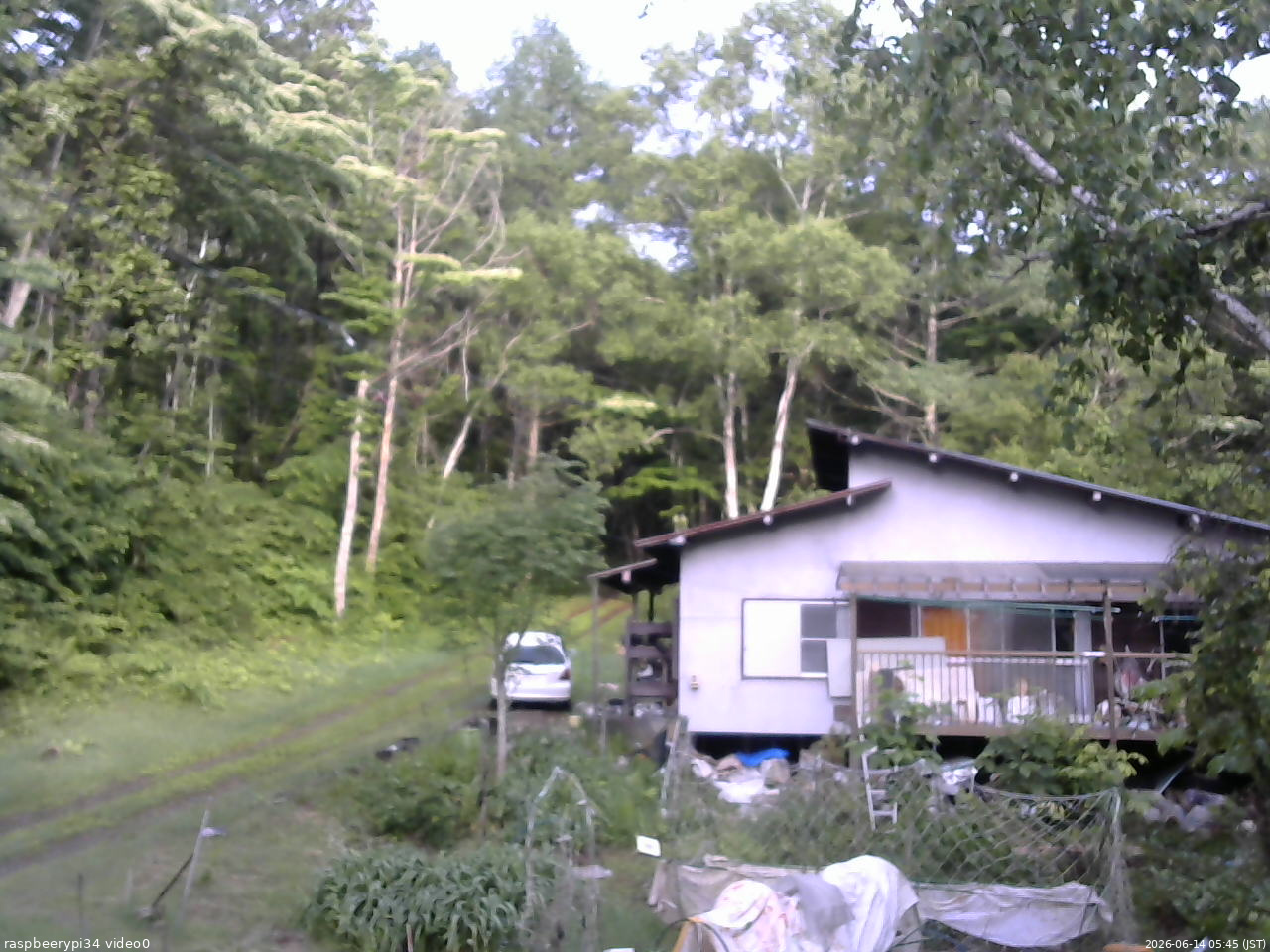 長野県菅平高原 ゆたか山荘 西側(坂上) 2026/06/14 05:45
