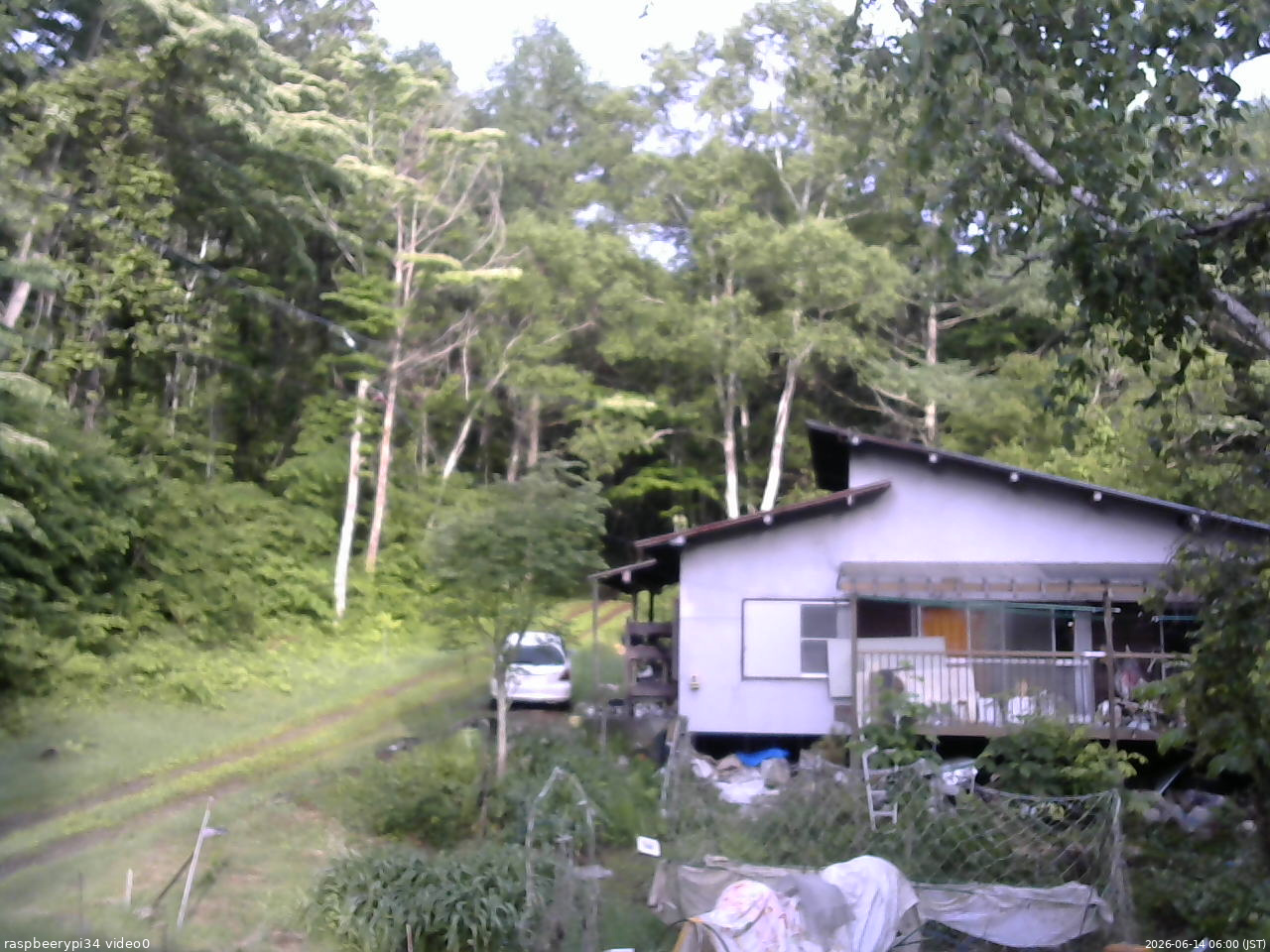 長野県菅平高原 ゆたか山荘 西側(坂上) 2026/06/14 06:00