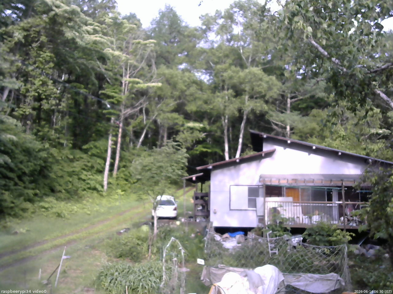 長野県菅平高原 ゆたか山荘 西側(坂上) 2026/06/14 06:30